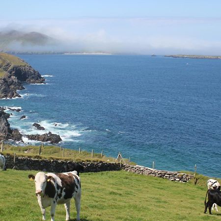 Cois Chnoic Holiday Home Dingle By Trident Holiday Homes Exterior foto