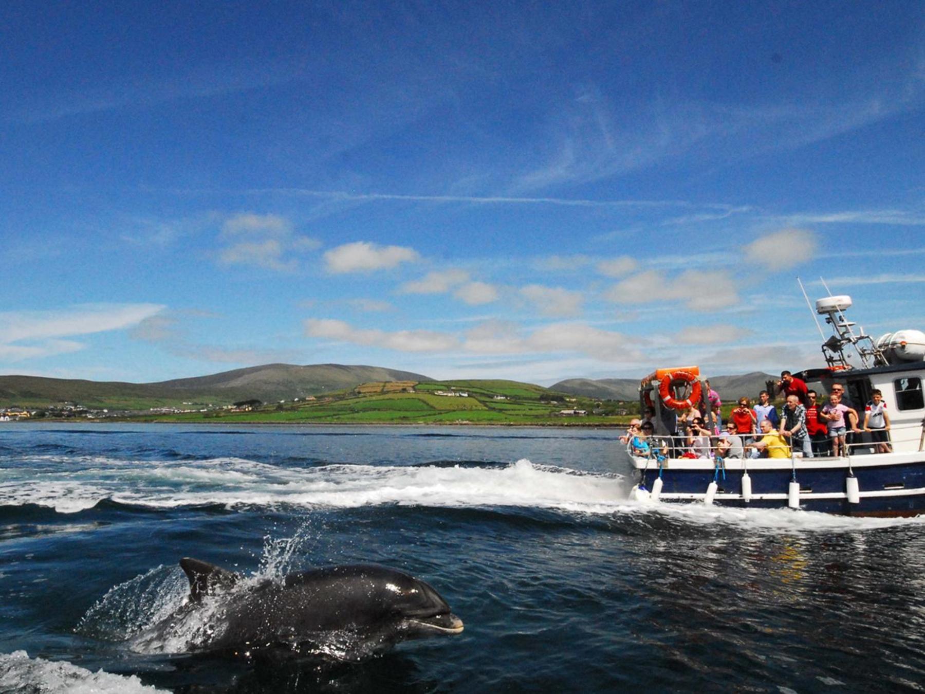 Cois Chnoic Holiday Home Dingle By Trident Holiday Homes Exterior foto